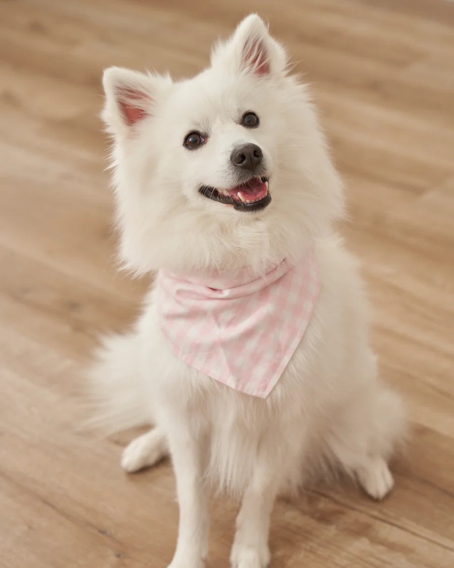 Dog Twill Bandana, Pink Gingham