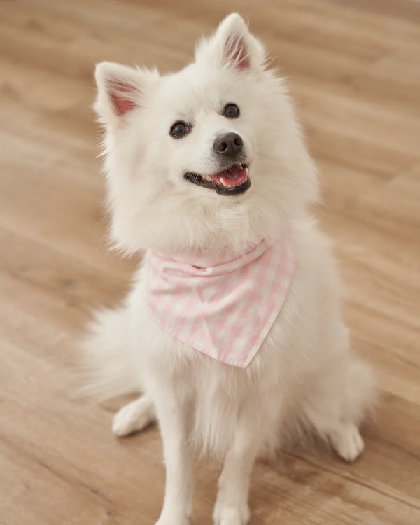 Dog Twill Bandana, Pink Gingham