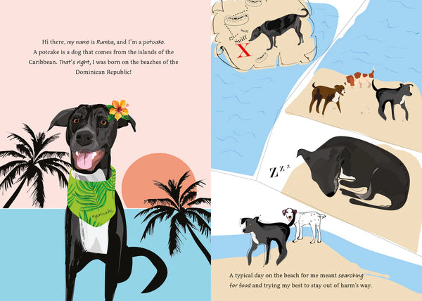 Rescuing Rumba : A Tale about Dog Rescue and Forever Friendship