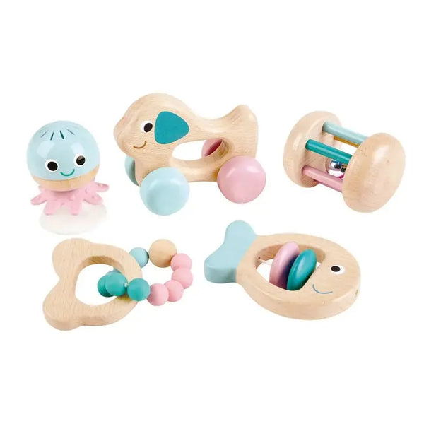 Wooden Multi-Stage Sensory 5 PCs Gift Set