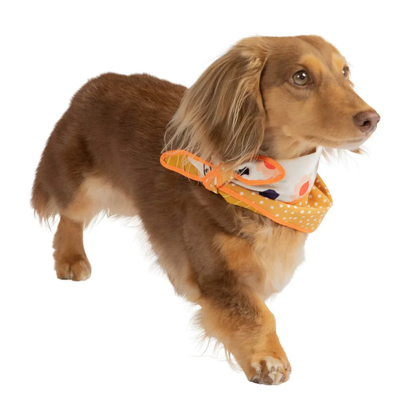 Pet Reversible Bandana, Poppy