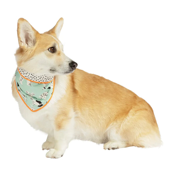 Pet Reversible Bandana, Signature Green