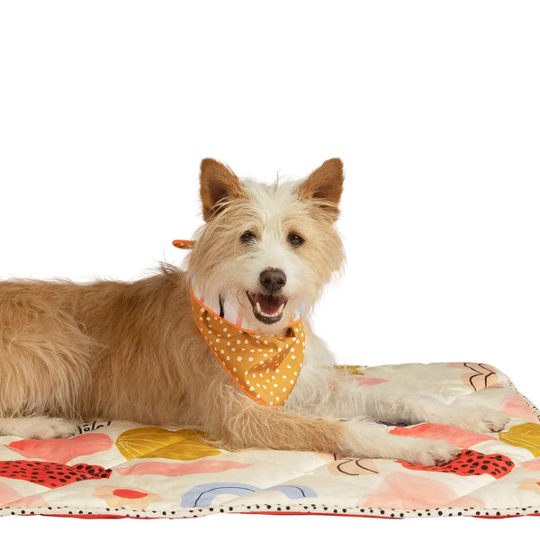 Pet Reversible Bandana, Stripe