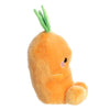 Cheerful Carrot