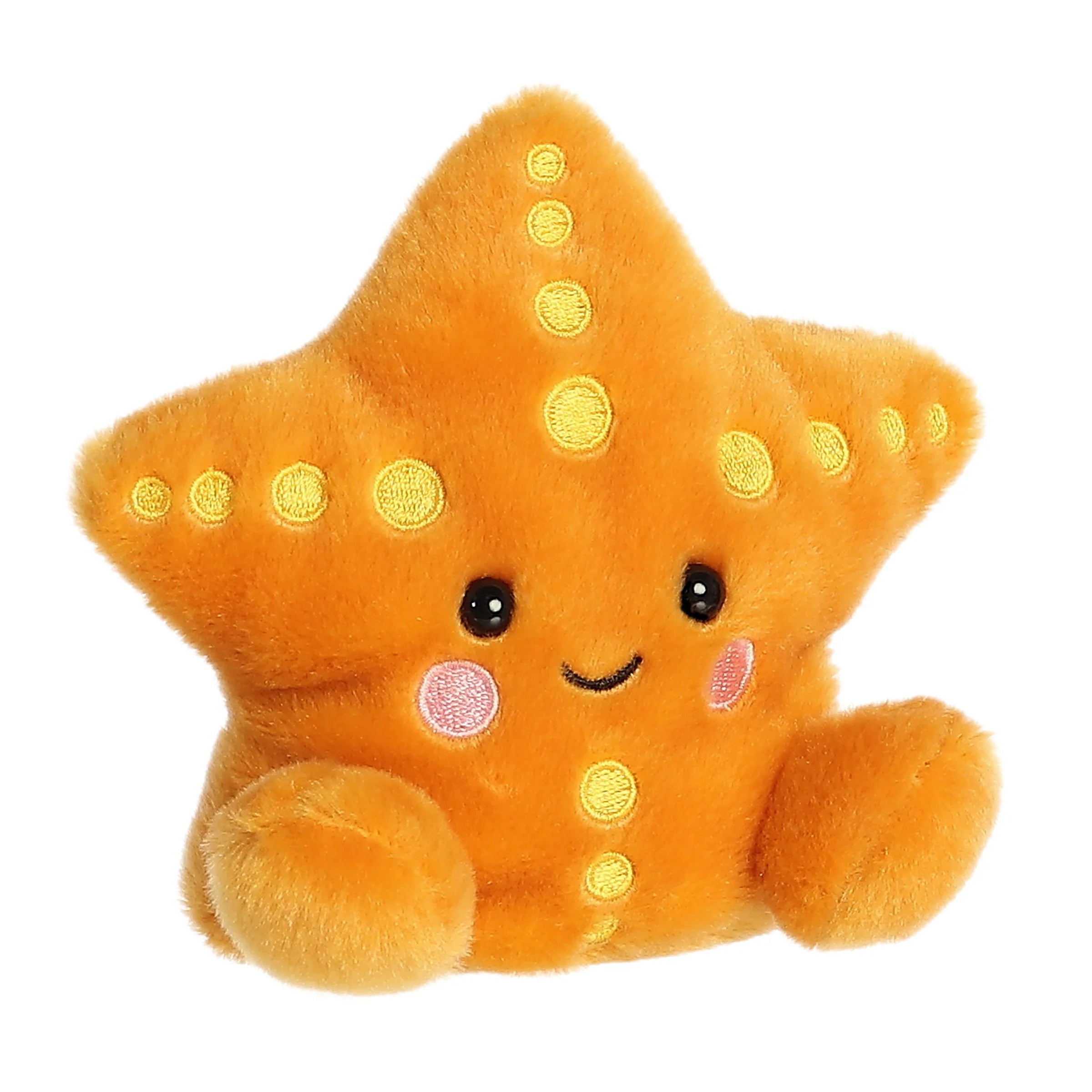 Treasure Starfish